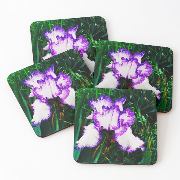 Item preview, Tender white and violet iris, natural background  designed and sold by helenkaiy.