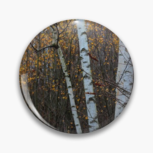Item preview, Birch Trees in the Autumn designed and sold by chihuahuashower.
