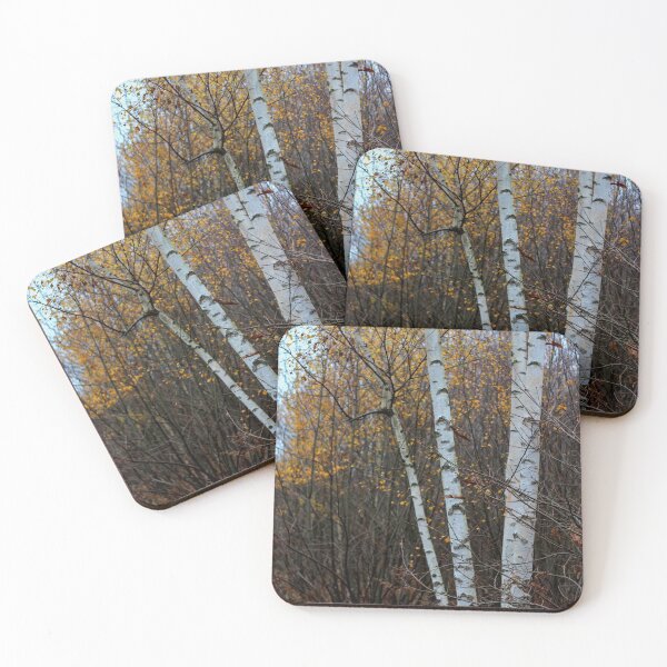Item preview, Birch Trees in the Autumn designed and sold by chihuahuashower.