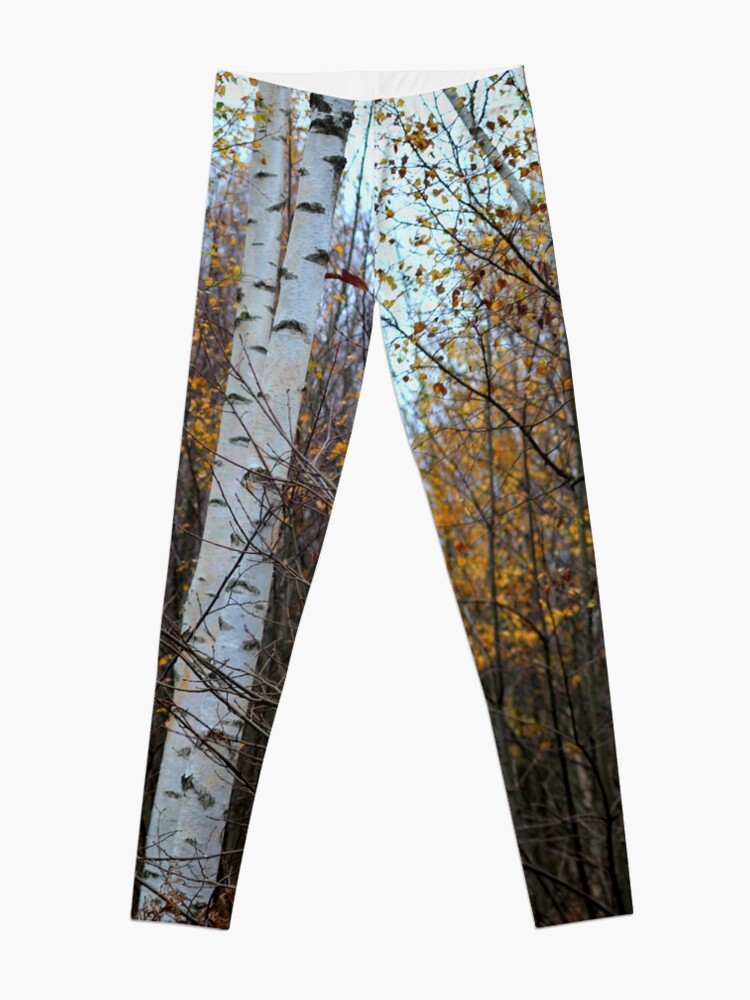 Alternate view of Birch Trees in the Autumn Leggings