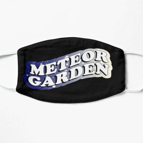 Meteor Garden Starry Sky Aesthetic Mask