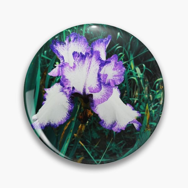 Item preview, Tender white and violet iris, natural background  designed and sold by helenkaiy.