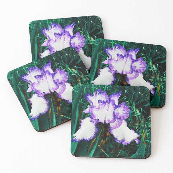 Item preview, Tender white and violet iris, natural background  designed and sold by helenkaiy.