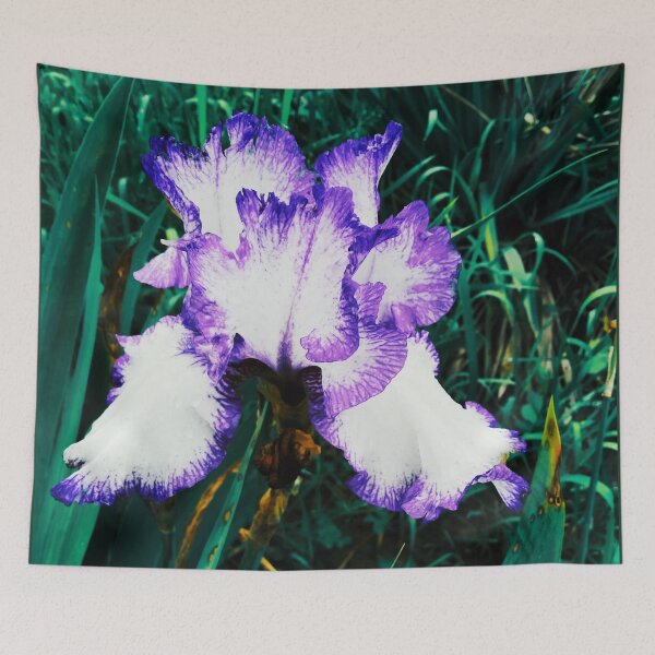 Item preview, Tender white and violet iris, natural background  designed and sold by helenkaiy.