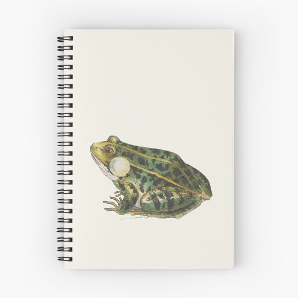 Artikelvorschau, Kopie der schönen Weinlese-Frosch-Zeichnung entworfen und verkauft von Darwin F.