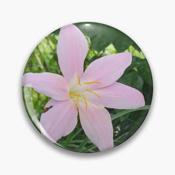 Item preview, A photo of a beautiful melanie flower designed and sold by AhMath.