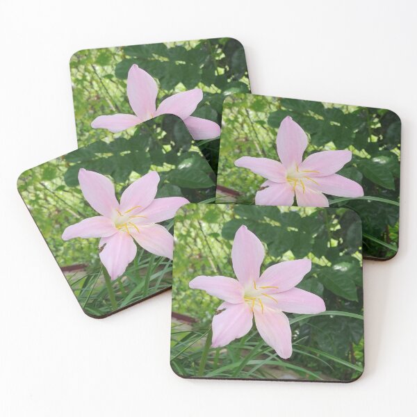 Item preview, A photo of a beautiful melanie flower designed and sold by AhMath.