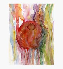 Tomato Photographic Print
