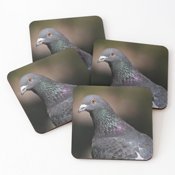 Item preview, Very detailed high quality rock dove close up designed and sold by hendrikspix.