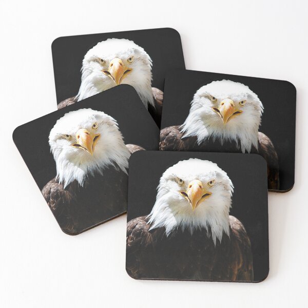 Item preview, Bald Eagle designed and sold by Denis Charmot.
