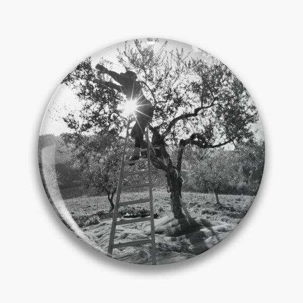 Item preview, 2006 Raccolta delle olive designed and sold by robertoferrero.