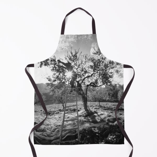 Item preview, 2006 Raccolta delle olive designed and sold by robertoferrero.