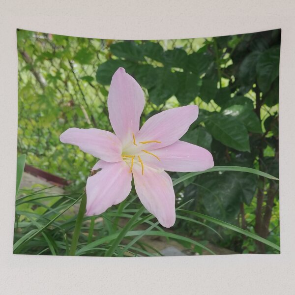 Item preview, A photo of a beautiful melanie flower designed and sold by AhMath.