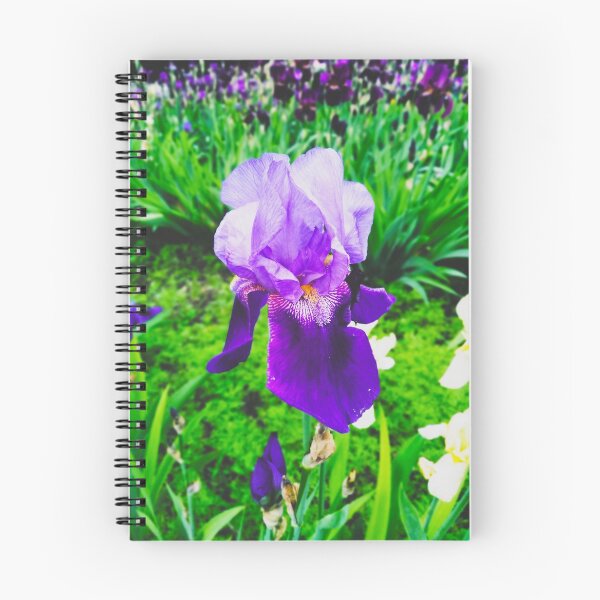 Item preview, Violet iris in blossom, natural perfection  designed and sold by helenkaiy.