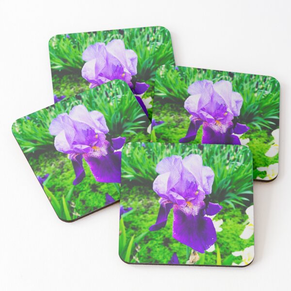 Item preview, Violet iris in blossom, natural perfection  designed and sold by helenkaiy.