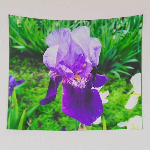 Item preview, Violet iris in blossom, natural perfection  designed and sold by helenkaiy.