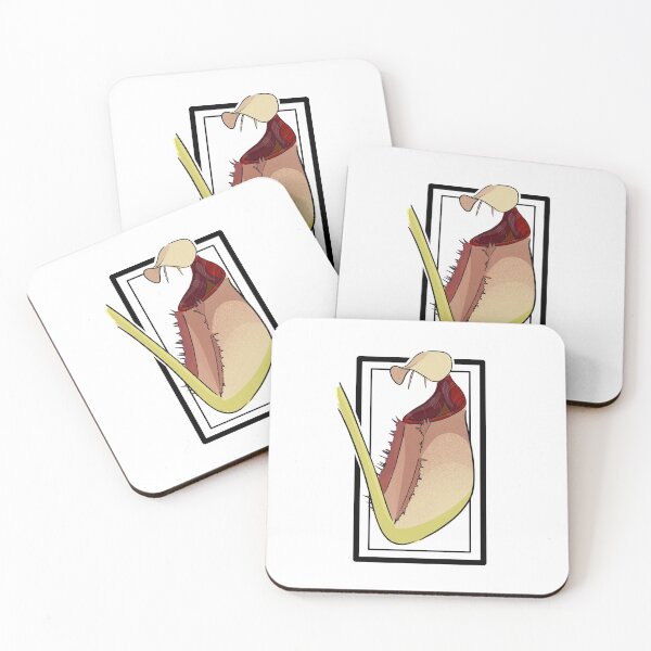 Item preview, Nepenthes Bicalcarata - Carnivorous Plant - Tropical Pitcher Plant designed and sold by steph-4-w.