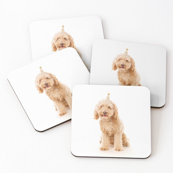 Item preview, Cockapoo dog wearing a small cone-shaped party hat designed and sold by bailey-cooper.
