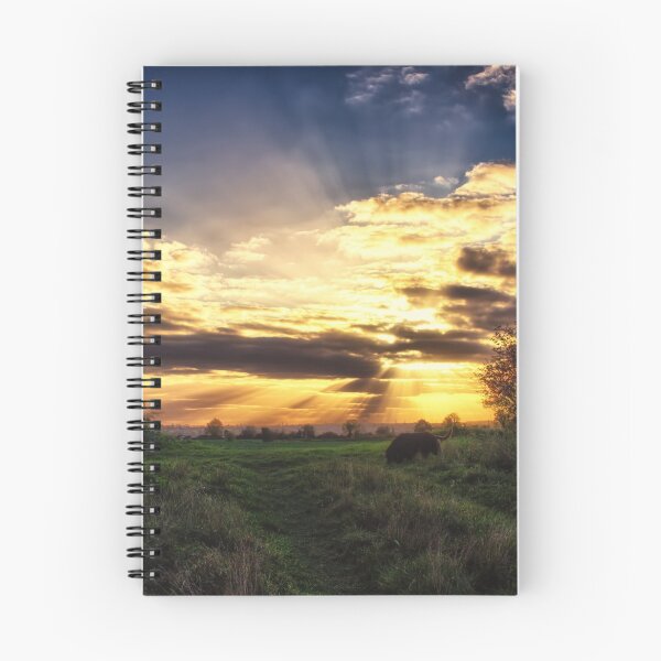 Item preview, Last Light designed and sold by Vicki Field.
