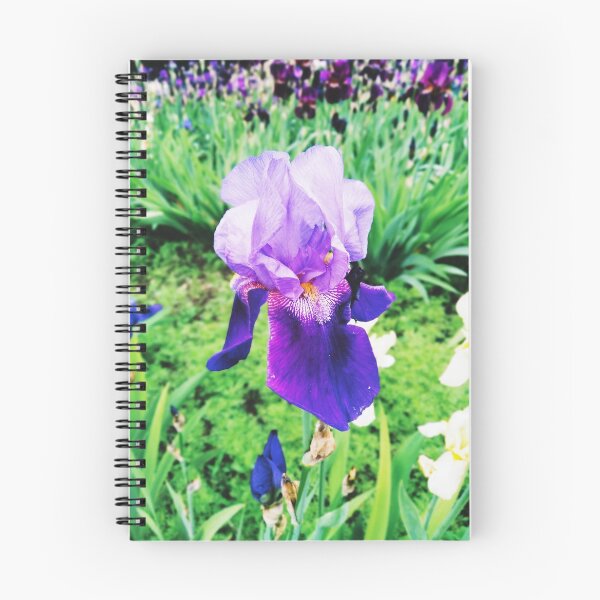 Item preview, Violet iris in blossom, natural perfection  designed and sold by helenkaiy.