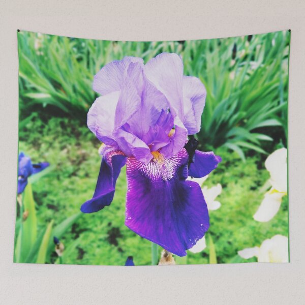 Item preview, Violet iris in blossom, natural perfection  designed and sold by helenkaiy.