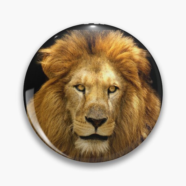 Item preview, If you kick me while I am down, you better pray that I do not get up - Lion designed and sold by mprakash100.