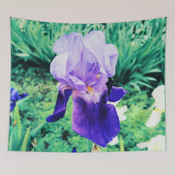 Item preview, Violet iris in blossom, natural perfection  designed and sold by helenkaiy.