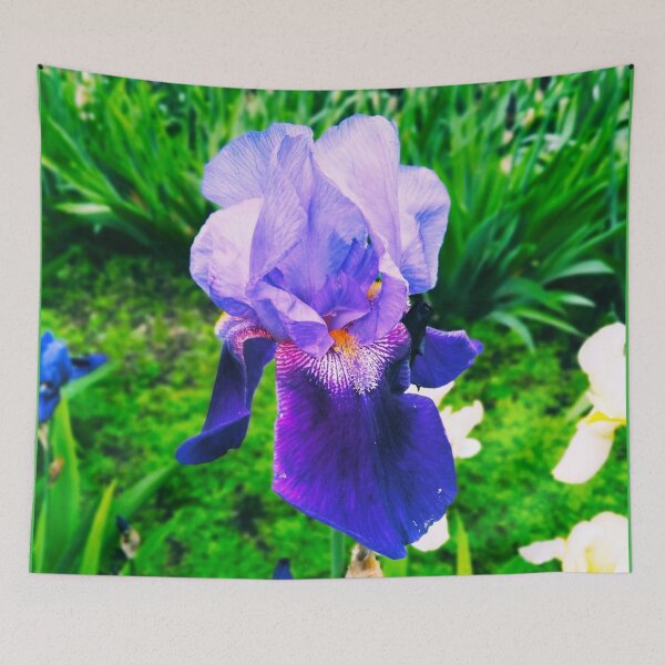 Item preview, Violet iris in blossom, natural perfection  designed and sold by helenkaiy.