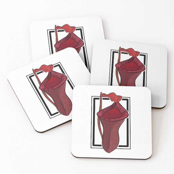 Item preview, Nepenthes x Briggisana - Carnivorous Plant - Tropical Pitcher Plant designed and sold by steph-4-w.