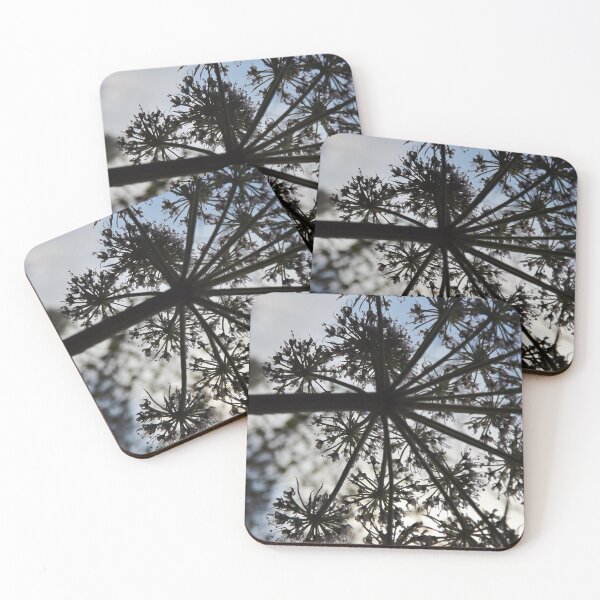 Artikelvorschau, Cowparsley-Schattenbild entworfen und verkauft von Joanne Babb.