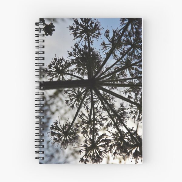 Artikelvorschau, Cowparsley-Schattenbild entworfen und verkauft von Joanne Babb.