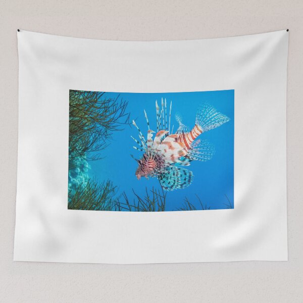 Item preview, Lionfish designed and sold by dvlcom.