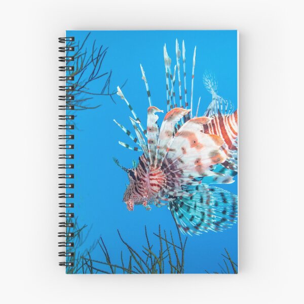 Item preview, Lionfish designed and sold by dvlcom.
