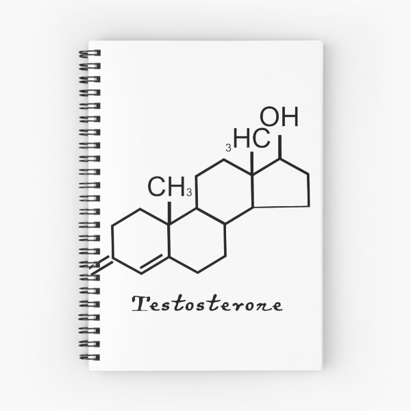Aperçu de l'œuvre Citation sur la testostérone, motif inspirant, art et design créée et vendue par vividpixelusa.