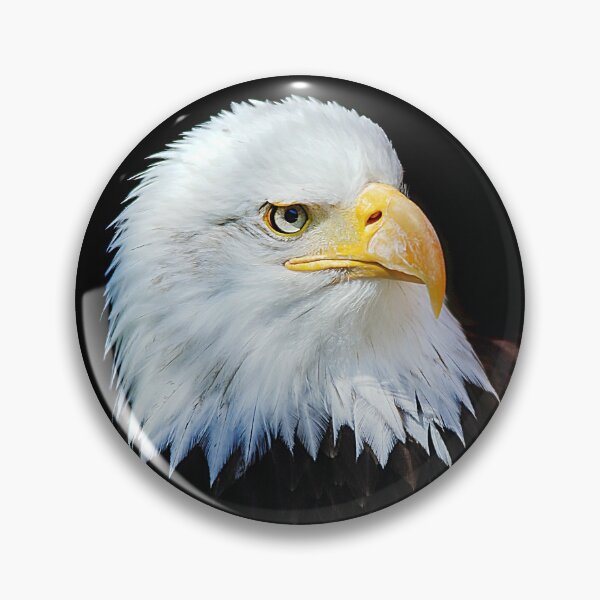 Item preview, Bald Eagle 1 designed and sold by Denis Charmot.
