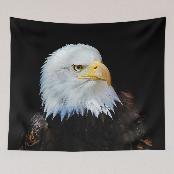 Item preview, Bald Eagle 1 designed and sold by Denis Charmot.