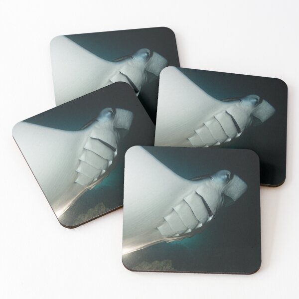 Item preview, Manta Ray in the Maldives feeding at night designed and sold by dvlcom.
