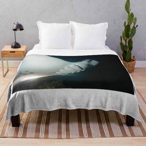Item preview, Manta Ray in the Maldives feeding at night designed and sold by dvlcom.