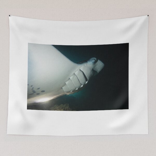 Item preview, Manta Ray in the Maldives feeding at night designed and sold by dvlcom.