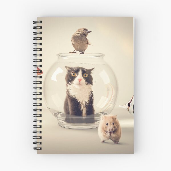 Item preview, Curiosity killed the cat designed and sold by Mauro Mondin.
