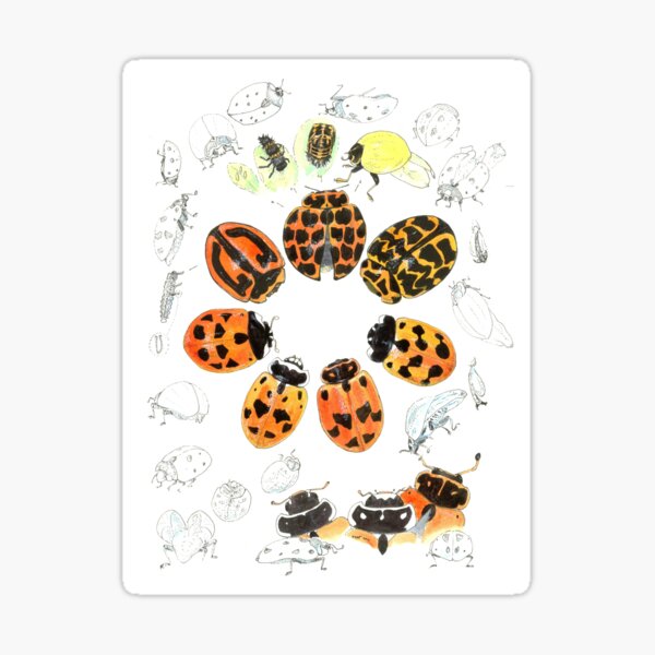 Item preview, Lady Bug circle work designed and sold by melhillswildart.