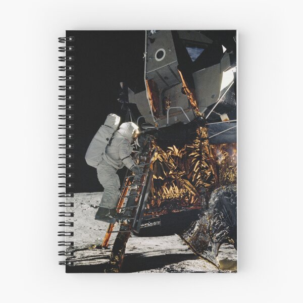Aperçu de l'œuvre Astronaute descendant de Lunar Lander créée et vendue par Star-Citizen.