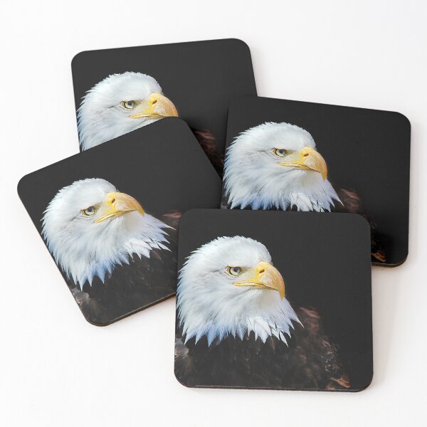 Item preview, Bald Eagle 2 designed and sold by Denis Charmot.