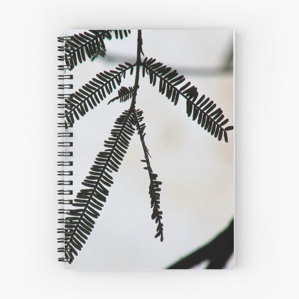 Item preview, A Silhouette Of A Plant designed and sold by EvieTuffs.