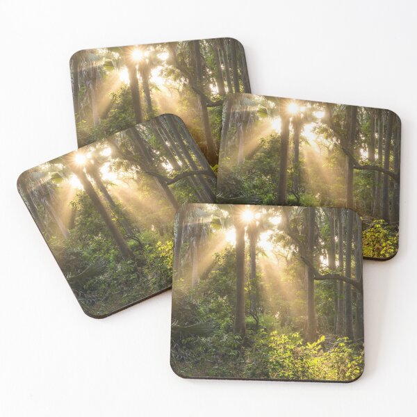 Item preview, Sun rays in the jungle designed and sold by reisefoto.