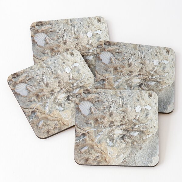 Item preview, Fossils on a Rock by the beach designed and sold by Christof  Hall.