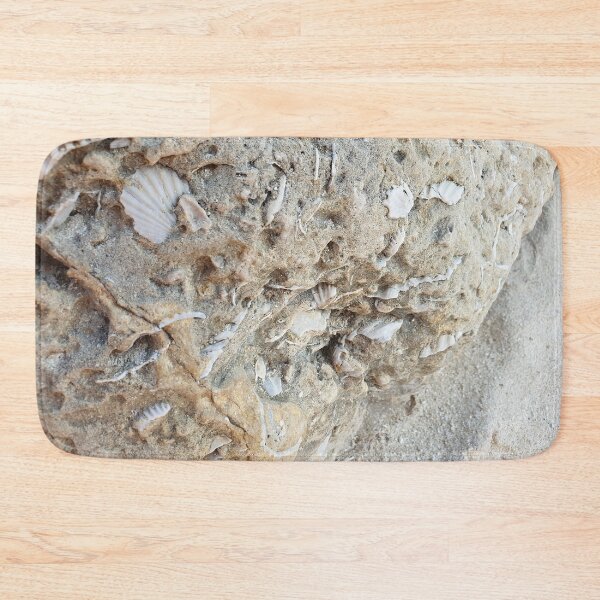 Item preview, Fossils on a Rock by the beach designed and sold by Christof  Hall.