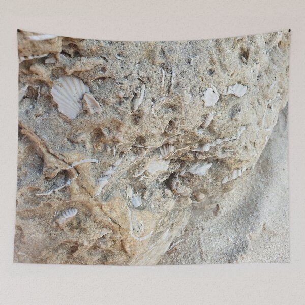 Item preview, Fossils on a Rock by the beach designed and sold by Christof  Hall.