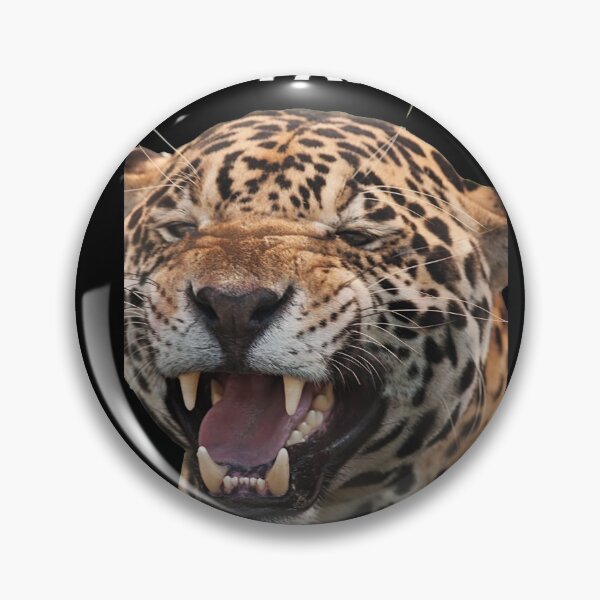 Item preview, If you kick me when I am down you better pray that I do not get up - Tiger designed and sold by mprakash100.