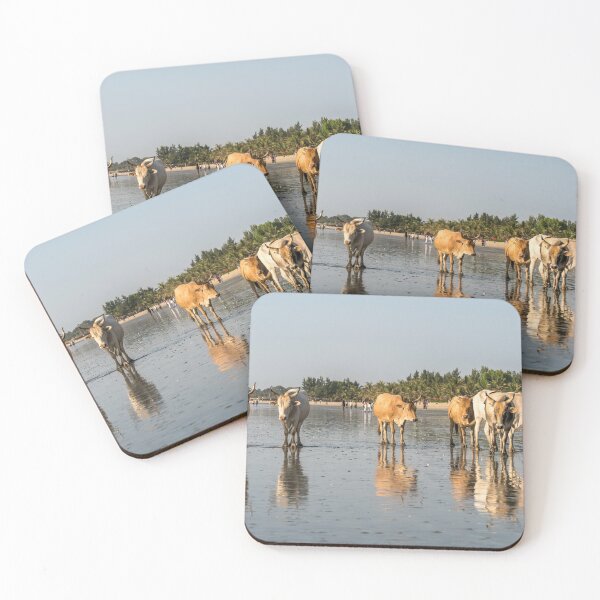 Item preview, Cows on the beach, Gambia designed and sold by reisefoto.